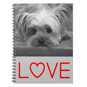Kärlek Yorkshire Terrier Puppy Hund Notebook Journ Anteckningsbok Med Spiral