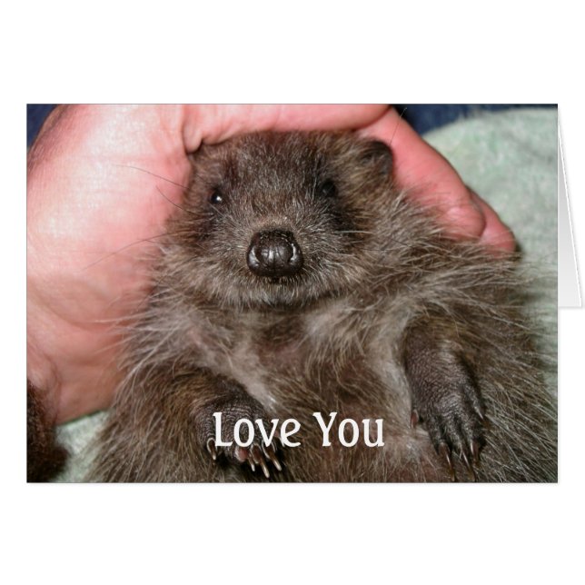 Kärlek You Card Hälsningskort (Framsidan Horizontal)