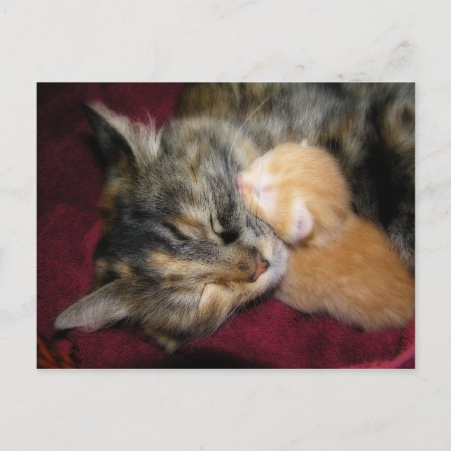 Kärlek You Mamma Vykort (Framsida)