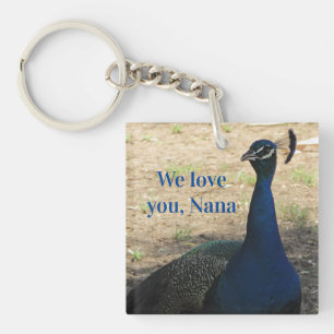 Kärlek You Nana Blue Bird Photo Söt Peacock
