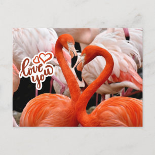 Kärlek You Two Bevackra Flamingo Birds Vykort