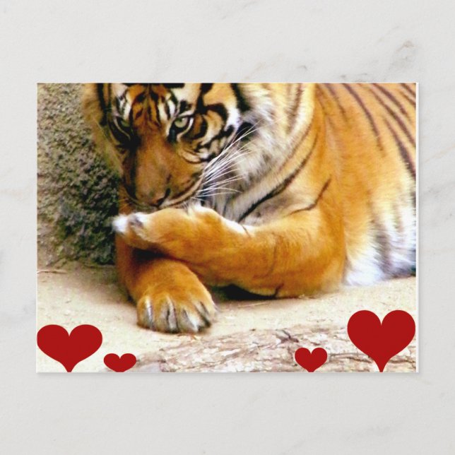 Kärlek You_ Vykort (Framsida)