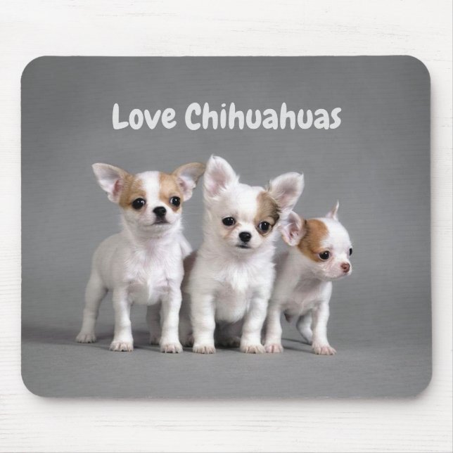 KärlekChihuahuas Musmatta (Framsidan)