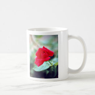 Kärlekdikt och röd rosknopp kaffemugg
