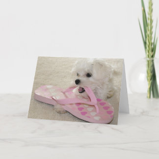 Kärleken av skor kort