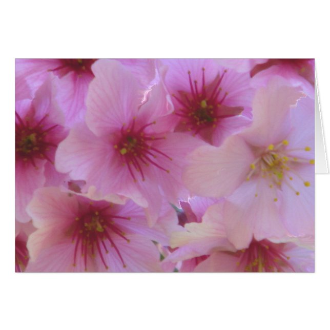 Kärlekens blomning hälsningskort (Framsidan Horizontal)