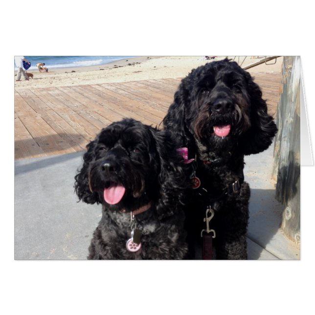 Kärlekför evigtkort hälsningskort (Framsidan Horizontal)