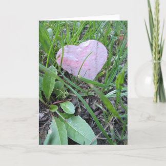 Kärlekkort Kort