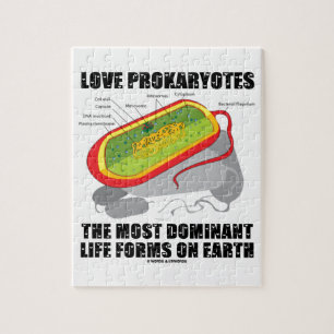 KärlekProkaryotes som mest framträdande liv bild Pussel