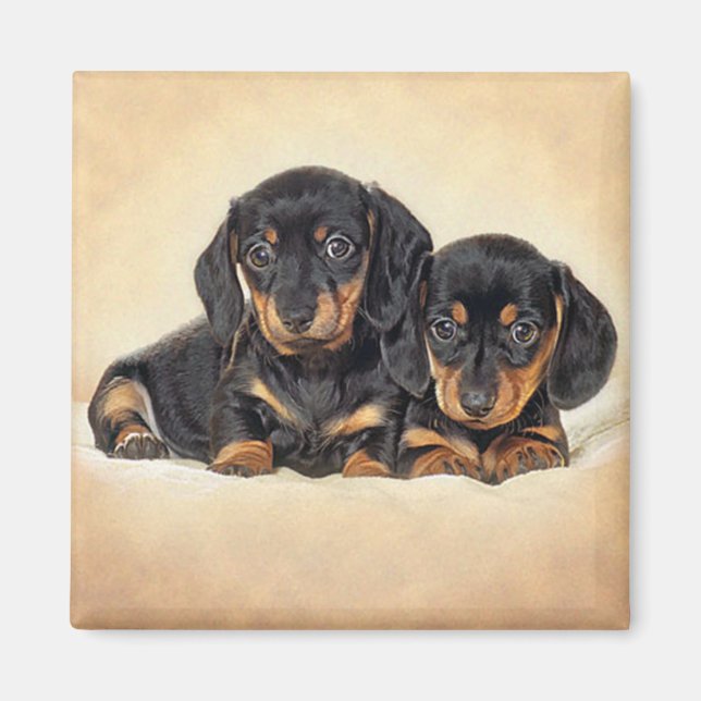 Kärleksdachshund Valp Hund Kylskåpsmagnet (Framsidan)