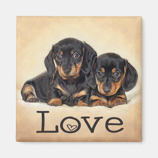 Kärleksfull Dachshund Valp Hund Kylskåpsmagnet (Framsidan)