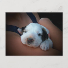 Kärleksfull kram vykort