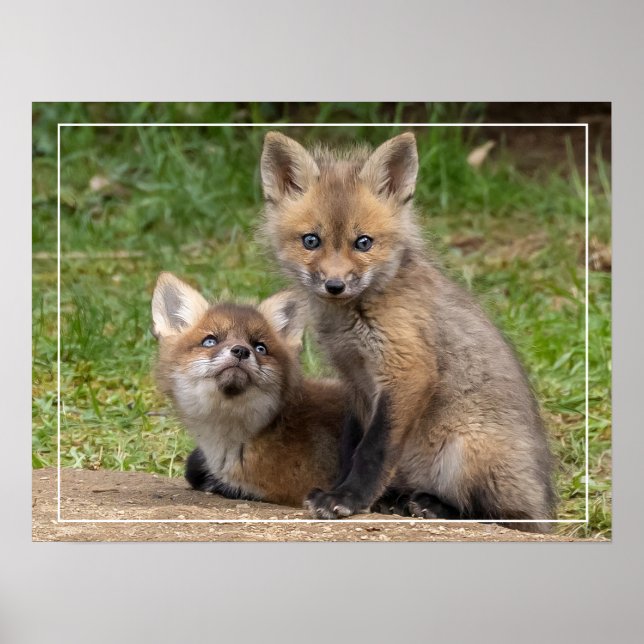 Kärleksfulla ögon poster (Framsidan)