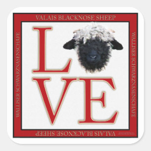 KärlekValais Blacknose får kvadrerar Fyrkantigt Klistermärke