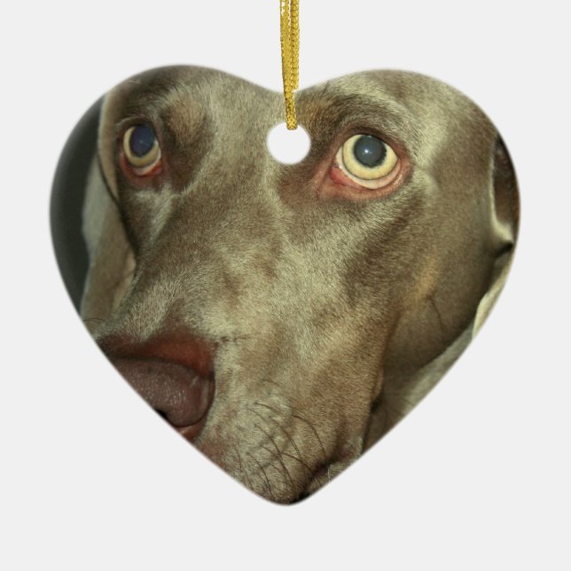 KärlekWeimaraner prydnad Julgransprydnad Keramik (Framsidan)