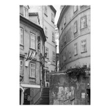 Karm över Wiens köer