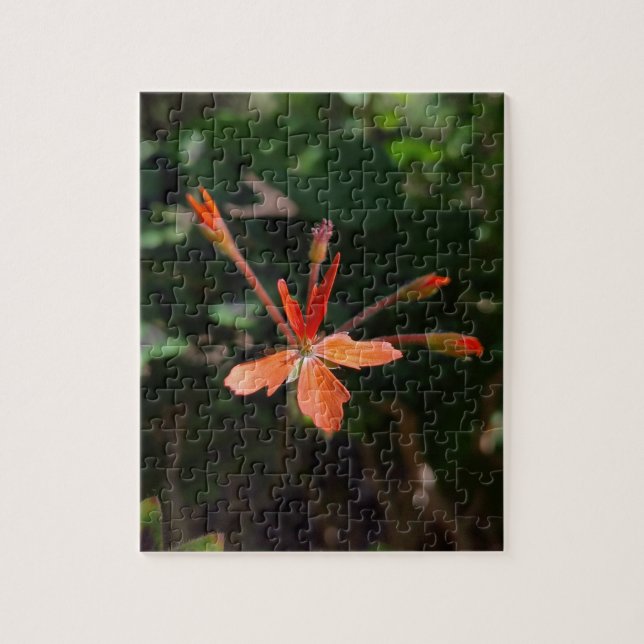 Karmosinblomning – Naturens kronbladssymfoni Pussel (Vertikal)
