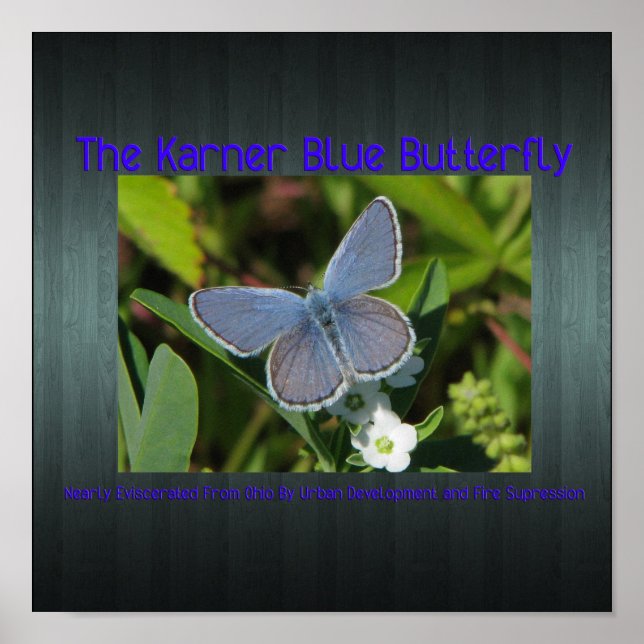 karnerblått poster (Framsidan)