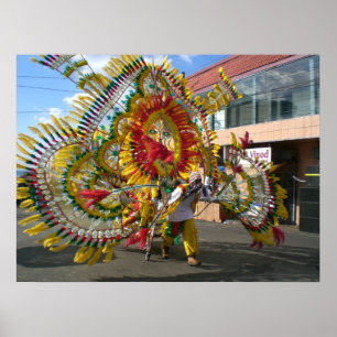 Karneval i Trinidad Poster