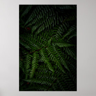 Kärnkraftverk Poster