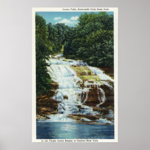 Kärnmjölk brukar delstatsparken som lägre poster