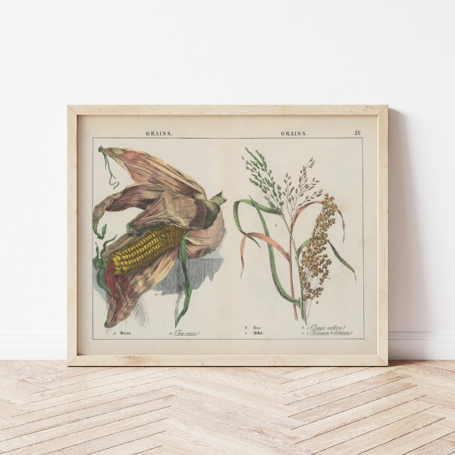 Kärnor | Charlotte Mary Yonge Poster (Skapare uppladdad)