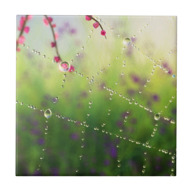 Kärnor från en Vår Morgonbricka / Trivet Kakelplatta (Framsidan)