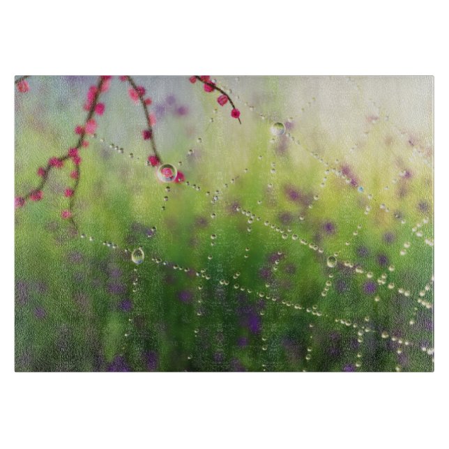 Kärnor från en Vår Morgonstyckningsort (Framsidan)