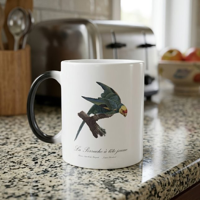 Karolina parakit, Conuropsis carolinensis Magisk Mugg (Carolina parakeet, Conuropsis carolinensis. Color Morph Mug)