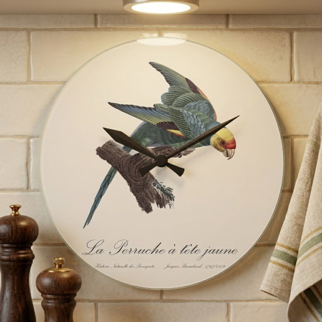 Karolina parakit, Conuropsis carolinensis Stor Klocka (Carolina parakeet, Conuropsis carolinensis. Large Clock)