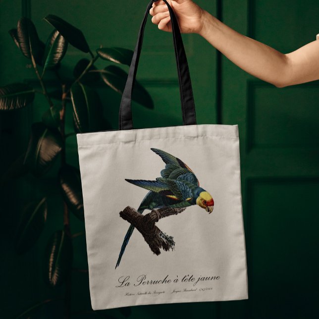 Karolina parakit, Conuropsis carolinensis Tygkasse (Carolina parakeet, Conuropsis carolinensis. Tote Bag)
