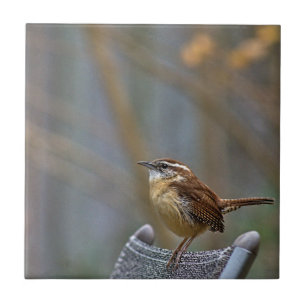 Karolina Wren Ceramic Tile Kakelplatta