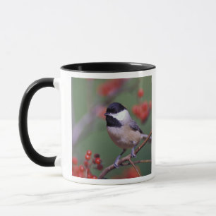Karolinakolibri Mugg