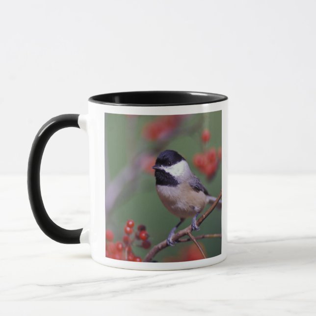 Karolinakolibri Mugg (Vänster)
