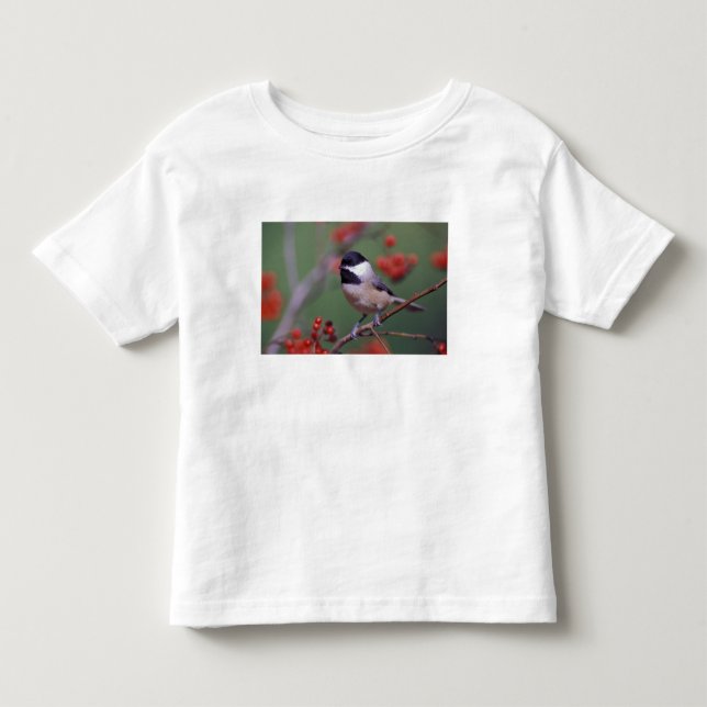Karolinames Tee Shirt (Framsida)