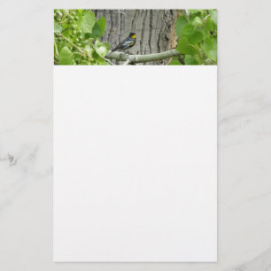 Karossfoto för Audubon Brevpapper