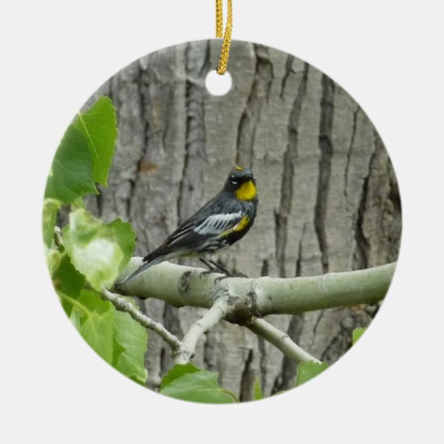 Karossfoto för Audubon Julgransprydnad Keramik (Framsidan)