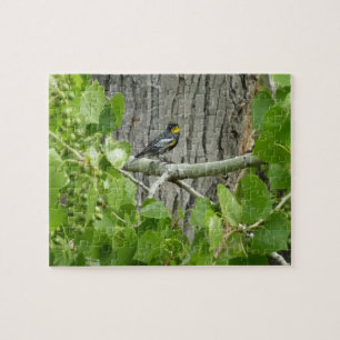 Karossfoto för Audubon Pussel