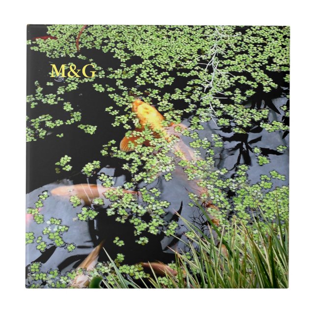 Karp Kakelplatta (Framsidan)