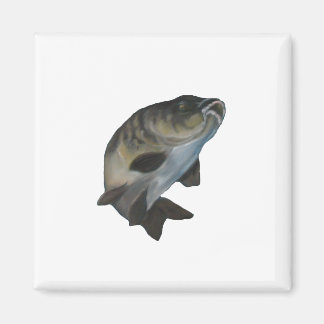 Karp. Magnet