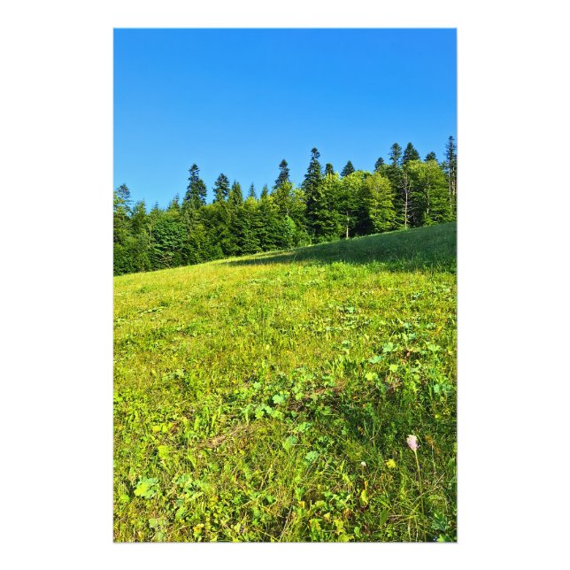 Karpaterna Grön Äng – Rumänien Bergtryck Fototryck (Framsidan)