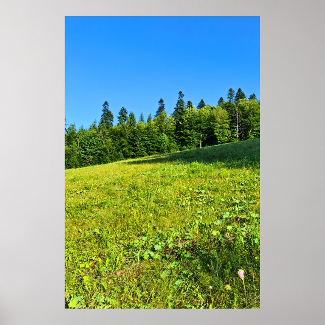 Karpaterna Grön Äng – Rumänien Bergtryck Poster (Framsidan)