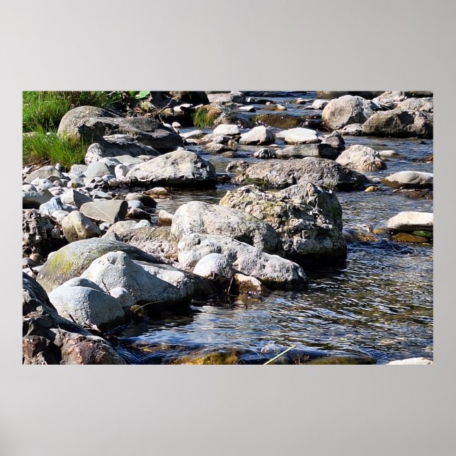 Karpatisk flod – Rumänien Naturtryck Poster (Framsidan)