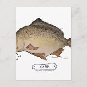 Karpfiskar, tonfiskar vykort