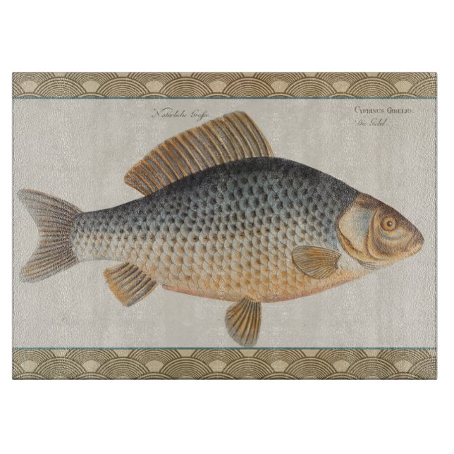 Karpfiske målning sötvatten teckning  (Framsidan)