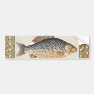 Karpfiske målning sötvatten teckning bildekal