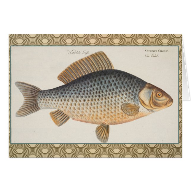 Karpfiske målning sötvatten teckning  hälsningskort (Framsidan Horizontal)