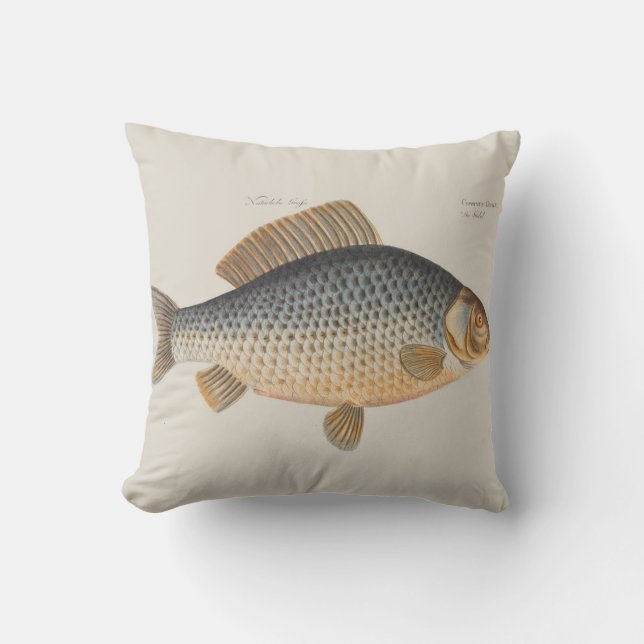Karpfiske målning sötvatten teckning  kudde (Framsida)