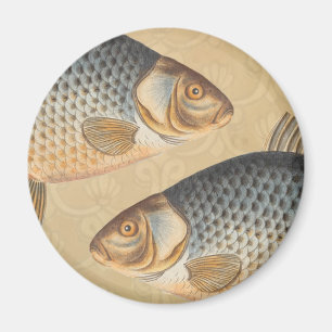 Karpfiske målning sötvatten teckning magnet
