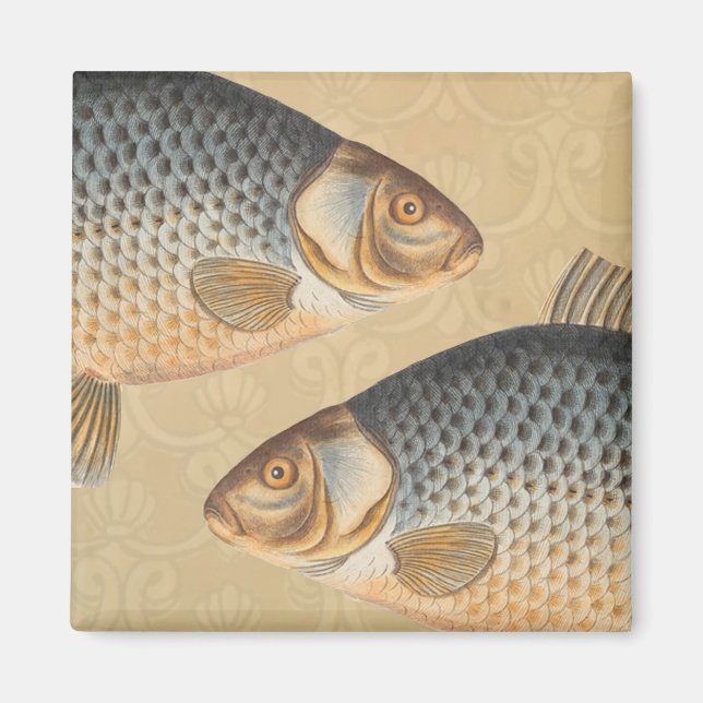 Karpfiske målning sötvatten teckning  magnet (Framsidan)